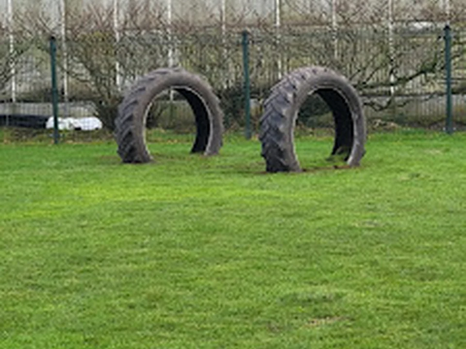 Honden losloopveld Heemskerk, Amsterdam