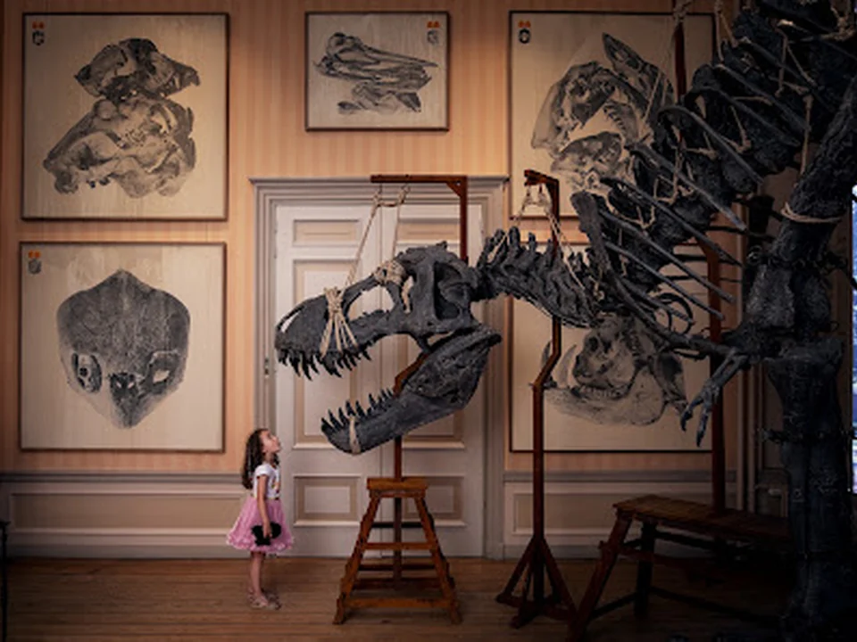 Art Zoo Museum, Amsterdam