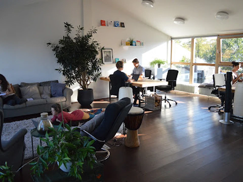 Treehouse Tribe, Amsterdam