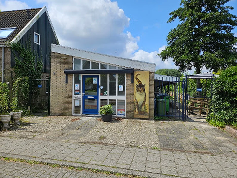 Dierenasiel Oostzaan, Amsterdam