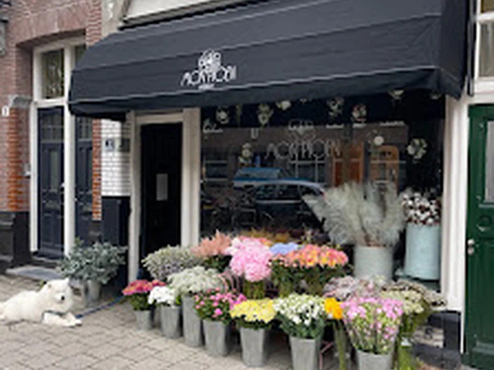 MON PIOEN, Amsterdam