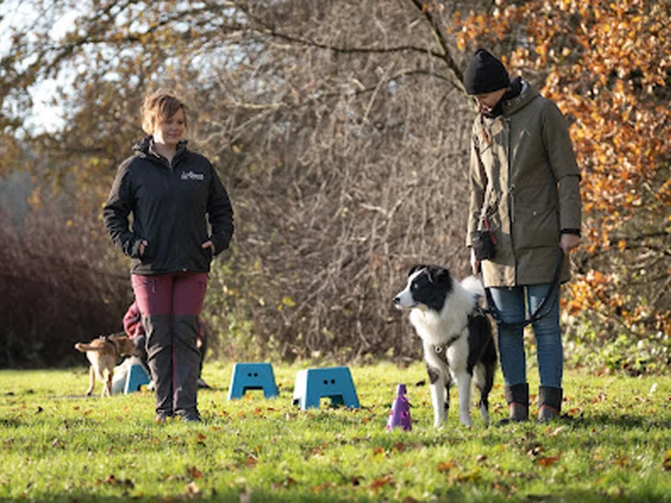 Hondenschool Minerva Dog Training, Amsterdam