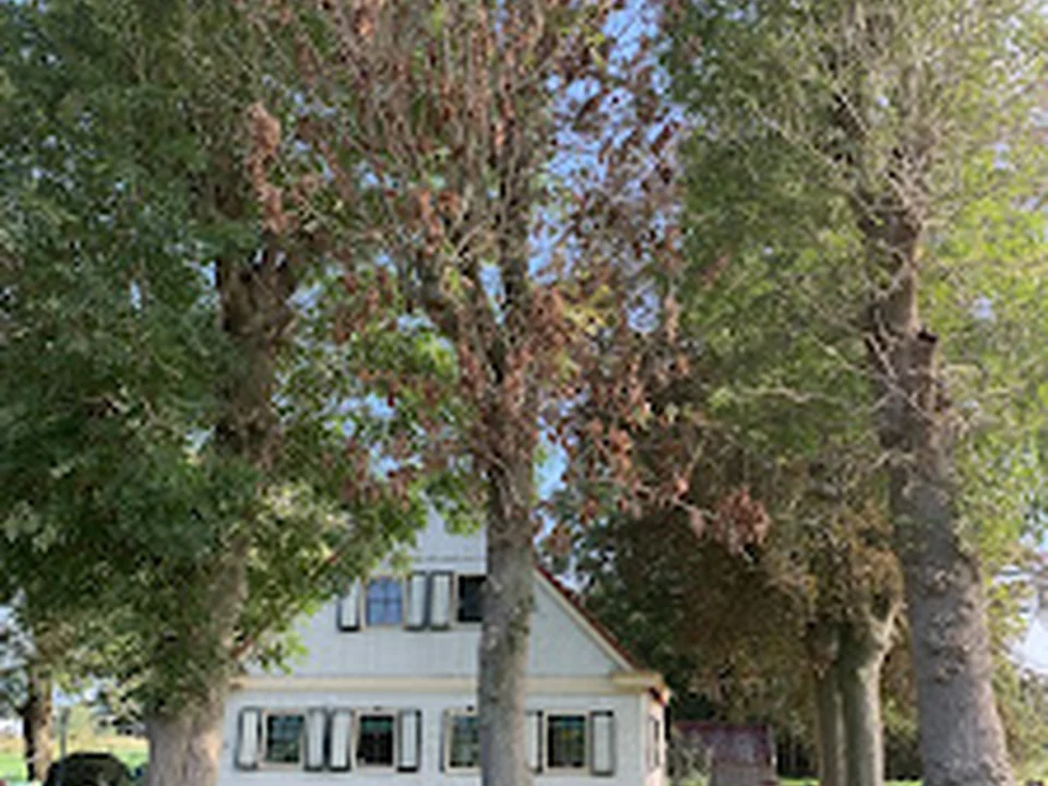 hondenuitlaatdienst, hondenuitlaatservice, hondenhotel, dogsitter, huisdierenoppas, dogwalker, hondenoppas, hondendagopvang, Amsterdam