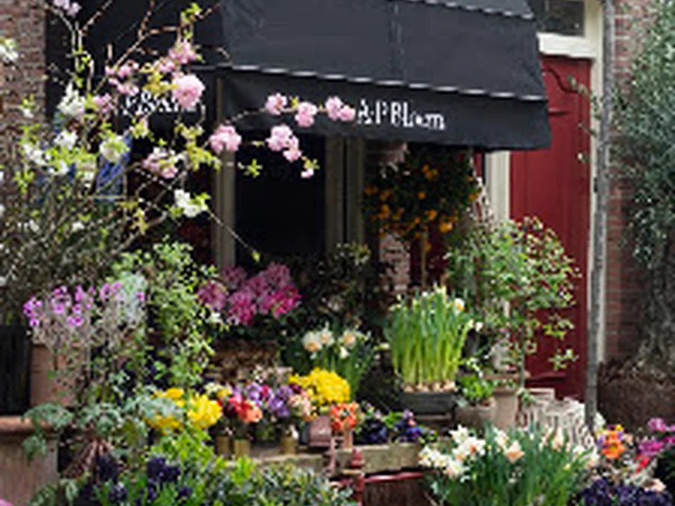 A.P Bloem, Amsterdam