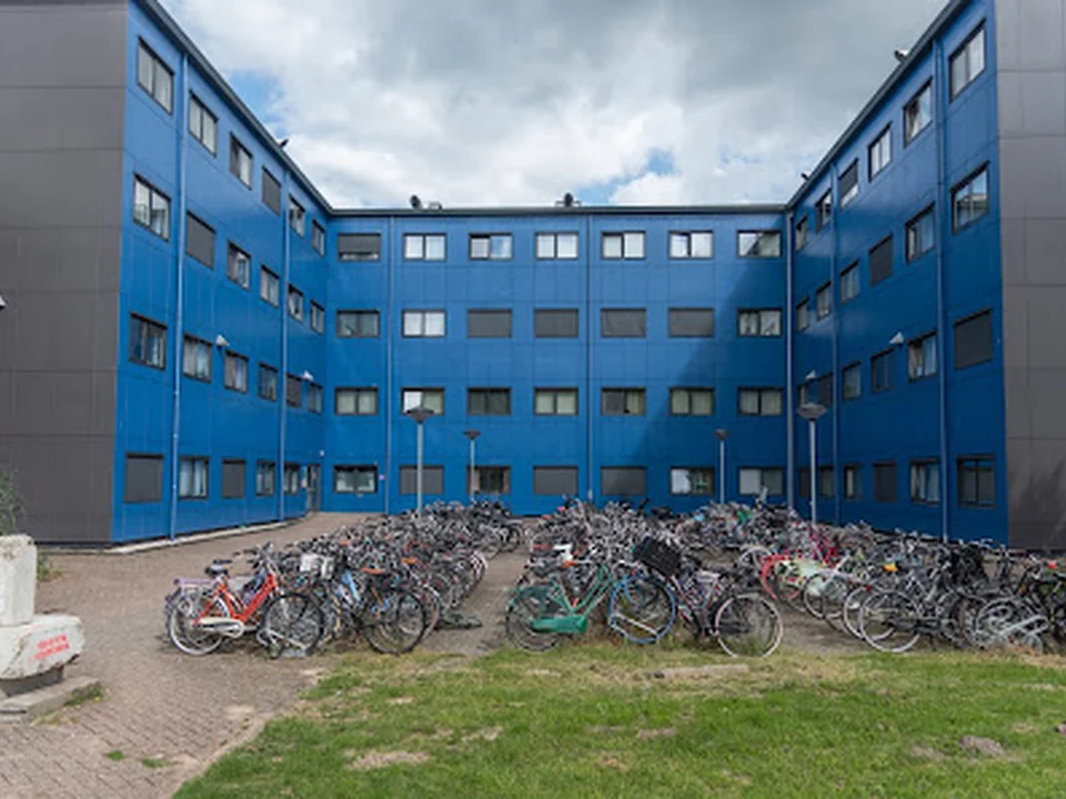 Blue-Gray, Amsterdam