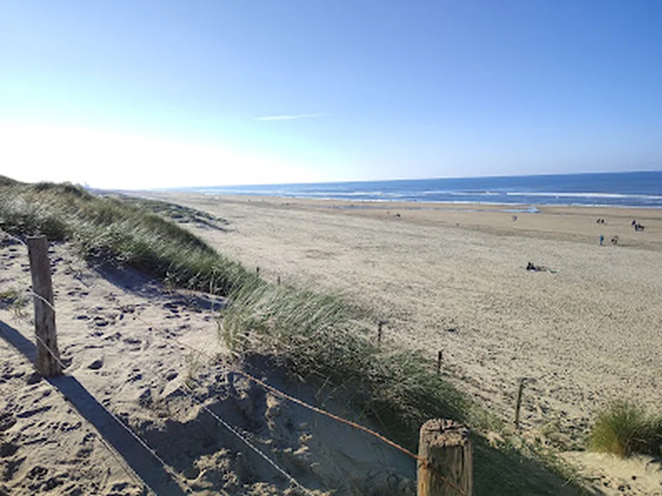 Hondenstrand Bloemendaal aan Zee, Amsterdam
