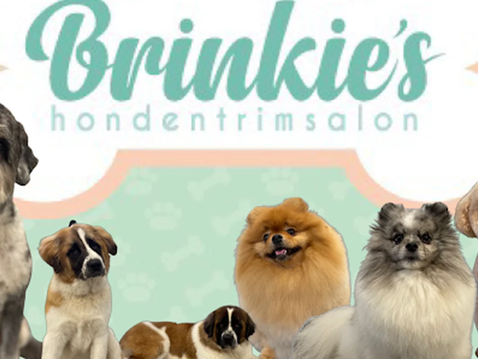 Brinkie's Hondentrimsalon🐩, Amsterdam