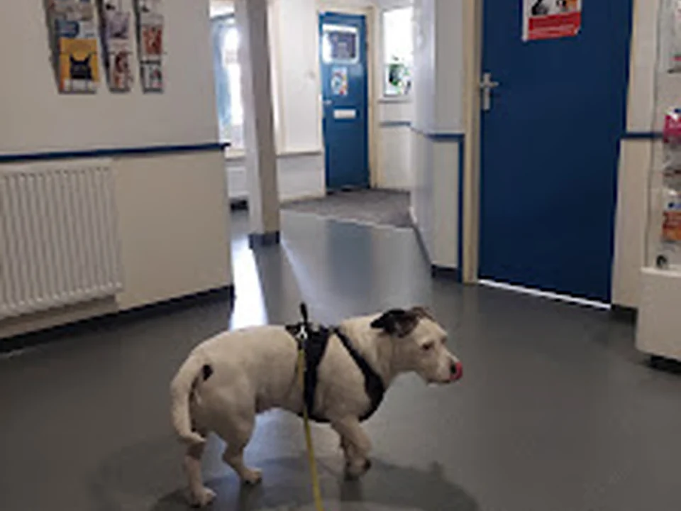 Dierenkliniek Amsterdam-Noord