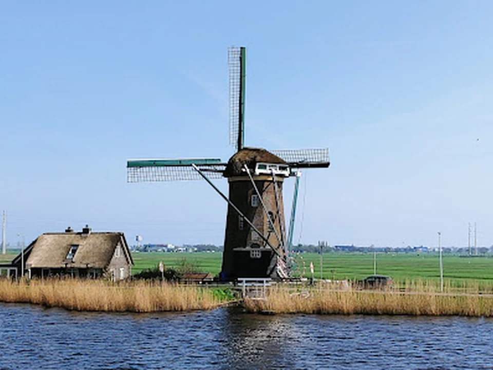 Privé hondenuitrenveld, Amsterdam