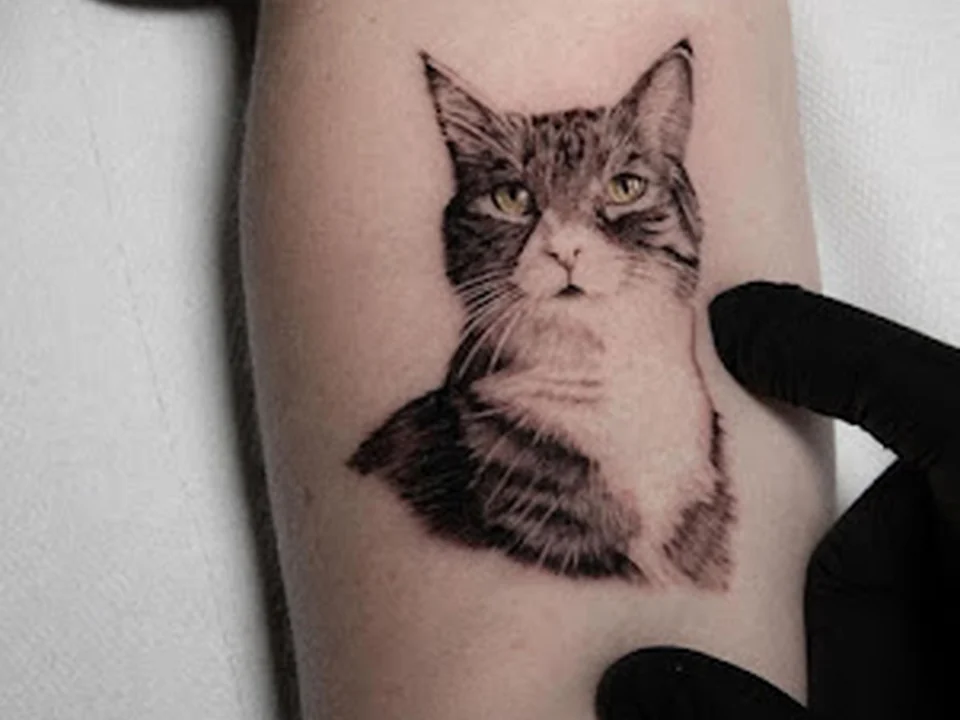 Puerto Ink, Amsterdam