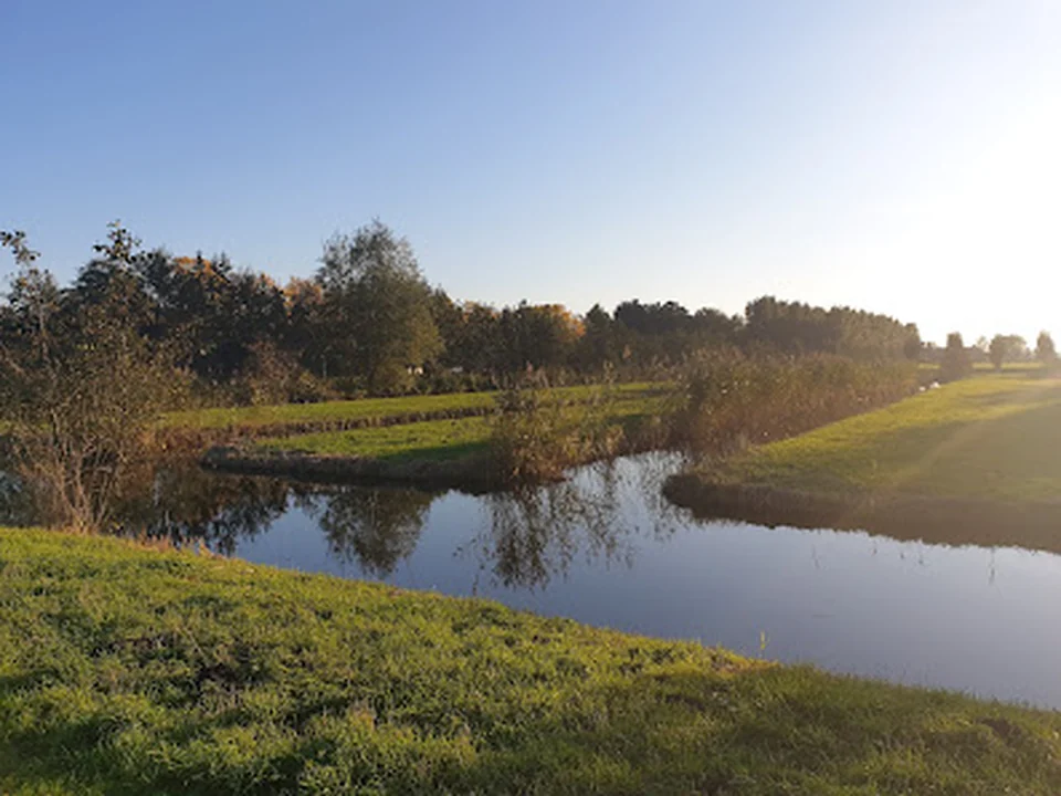 Hondenzwemplek Wickelhofpark (steiger), Amsterdam