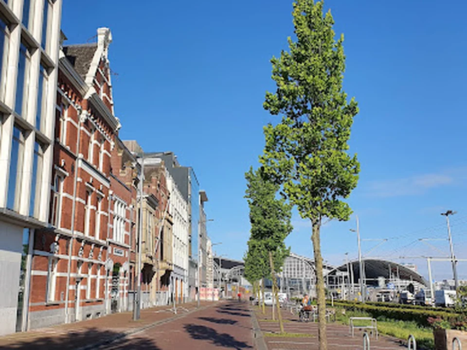 SeederDeBoer, Amsterdam