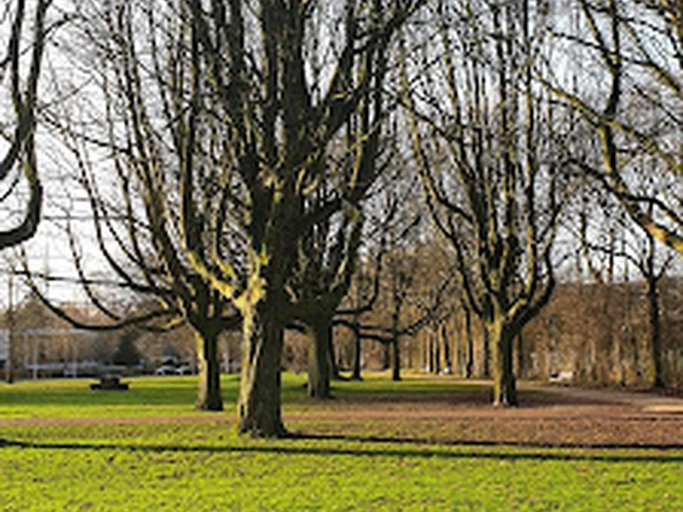 Martin Luther Kingpark, Amsterdam