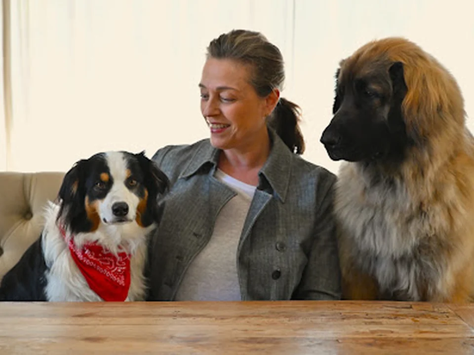 Ethical Dog Trainers, Amsterdam