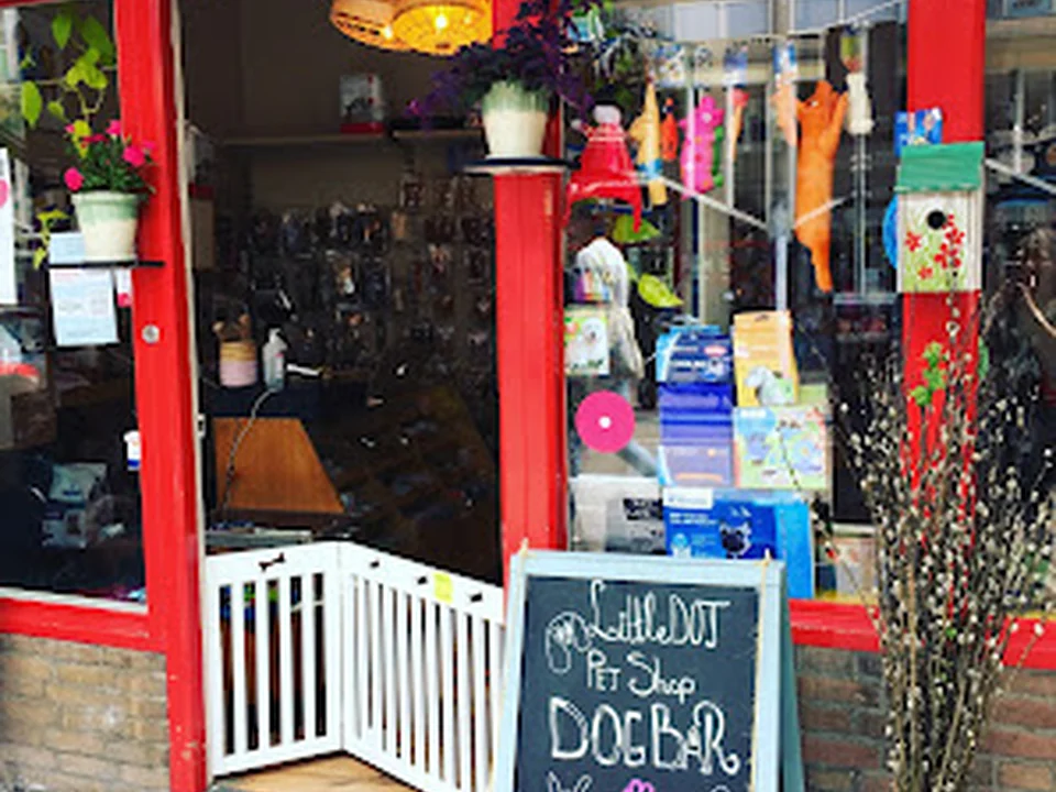 LittleDot, Amsterdam