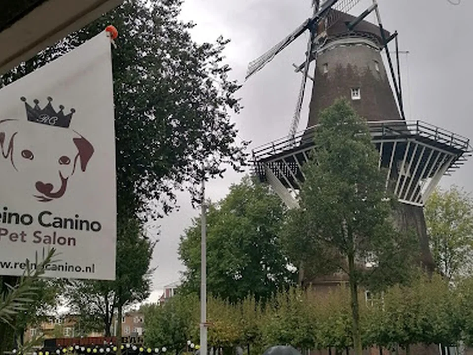Hondentrimsalon Reino Canino🐩, Amsterdam