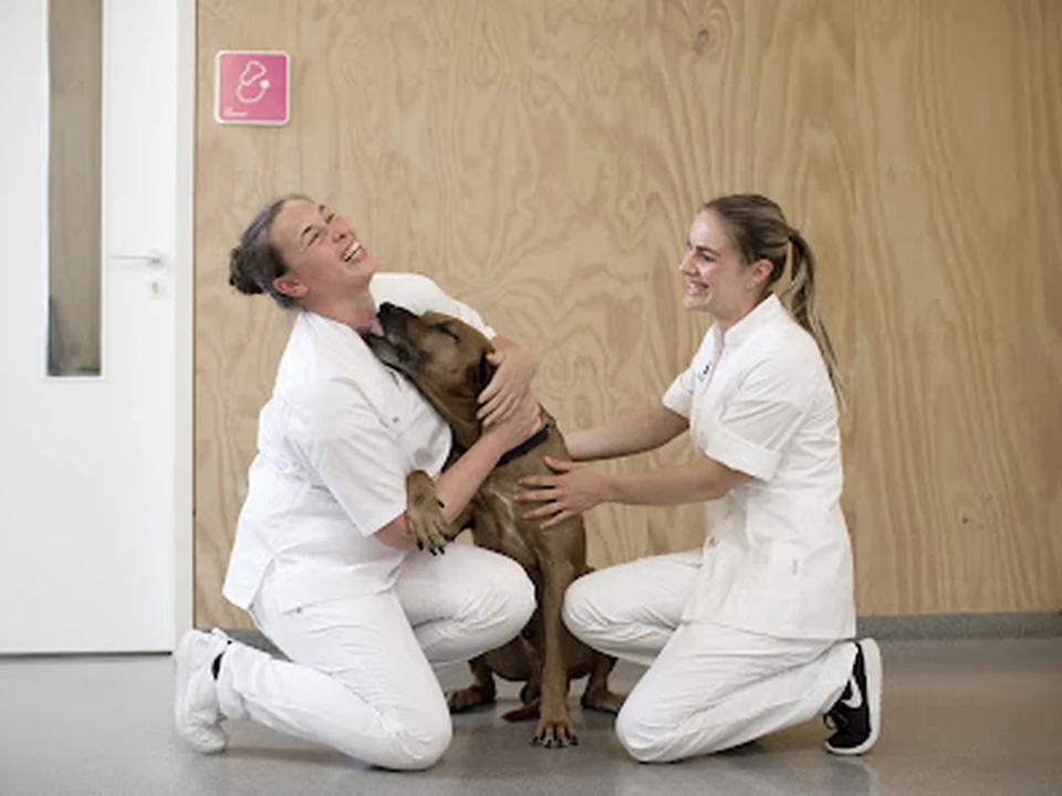 Medisch Centrum voor Dieren - MCD, Amsterdam