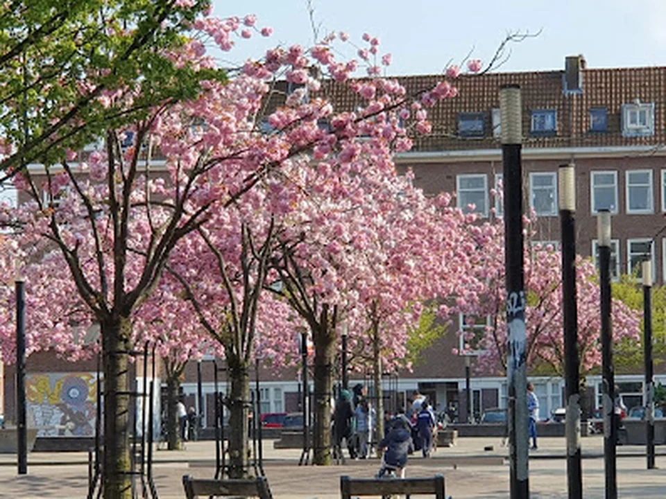 de Tagerijn, Amsterdam
