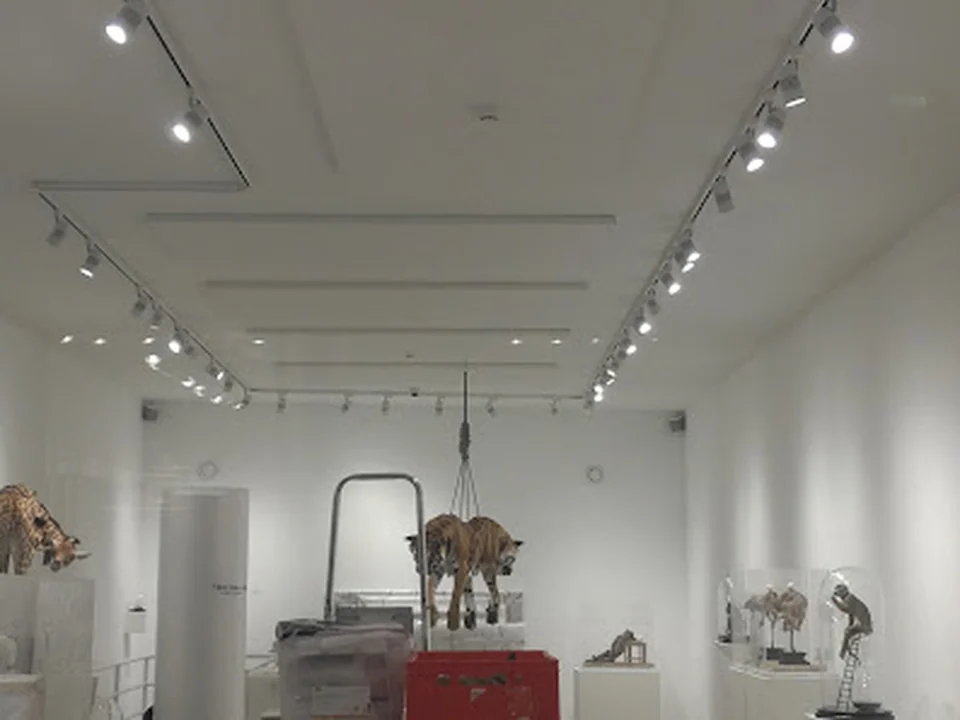 Jaski Gallery, Amsterdam
