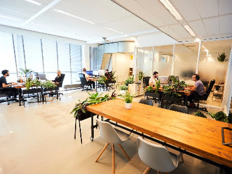 Mad Pack | Online Marketingbureau Amsterdam