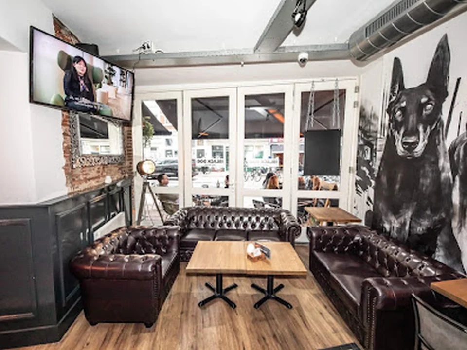 The Black Dog, Amsterdam