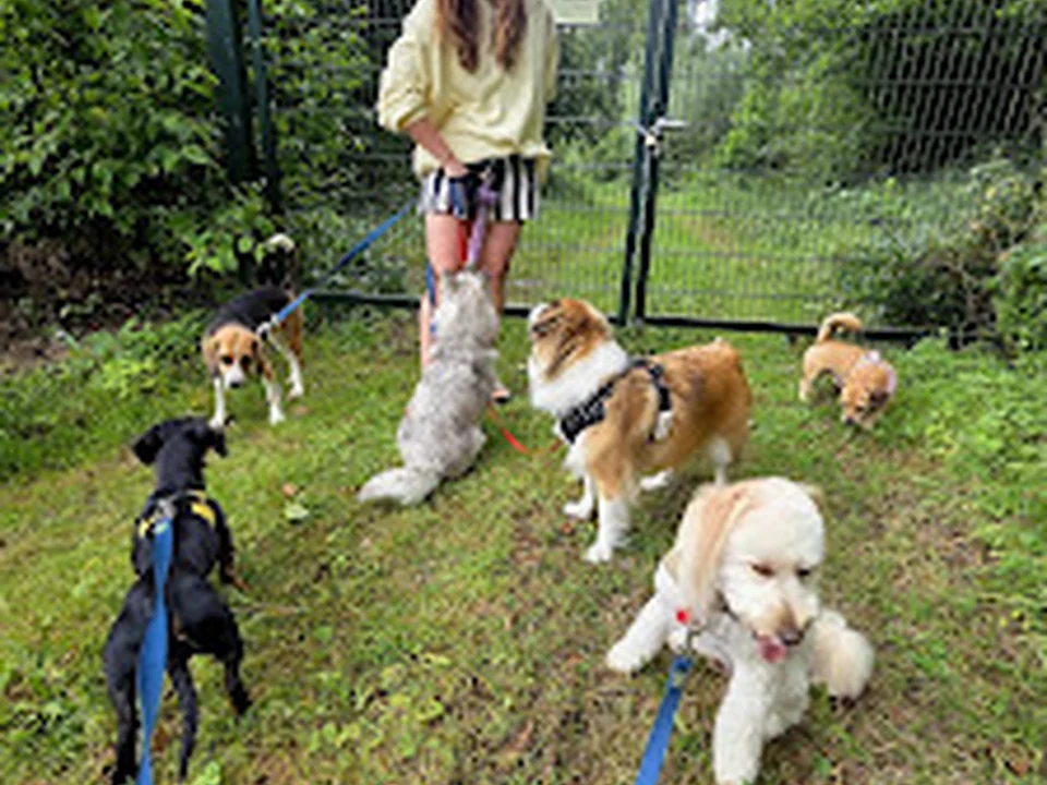 Mama's Pet Club, Amsterdam