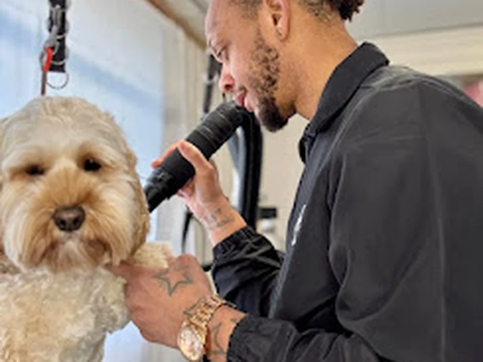 Maximus & Friends - Hondentrimsalon / Dog Grooming Services, Amsterdam