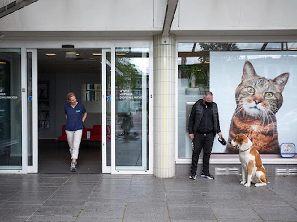 Joyce Hofman dierenklinieken locatie Watergraafsmeer, Amsterdam